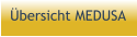 Übersicht MEDUSA