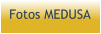 Fotos MEDUSA